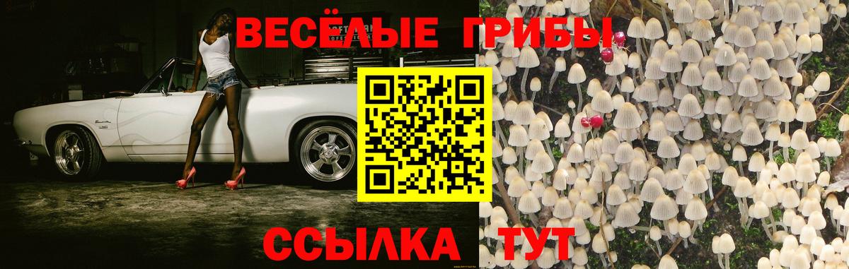 Псилоцибиновые грибы прущие грибы Димитровград
